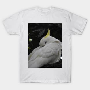 Sulphur Crested Cockatoo T-Shirt